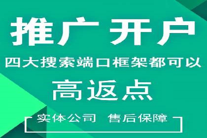 竞价托管服务对比：不同平台的优劣分析